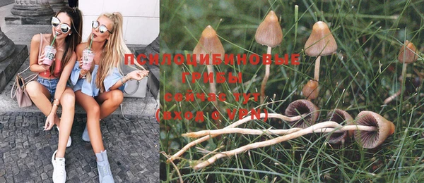 крисы Абинск