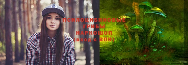 крисы Абинск
