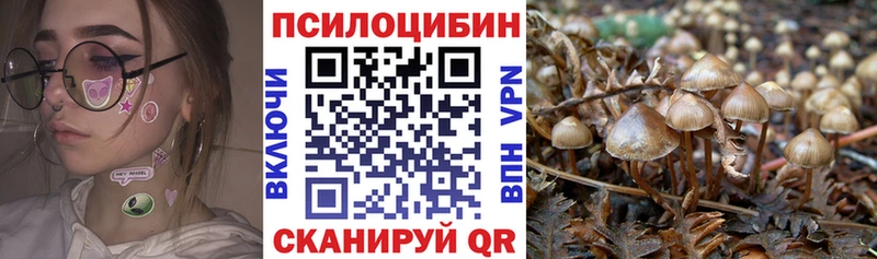 Галлюциногенные грибы Cubensis  Каменногорск 