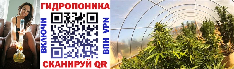 Бошки марихуана Bruce Banner  Каменногорск 